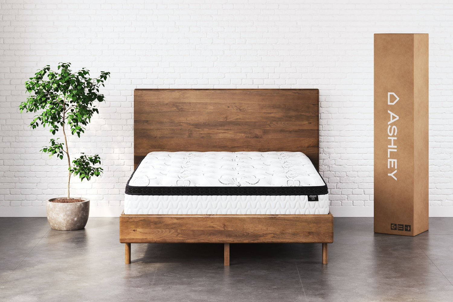 Sleep & Bedding